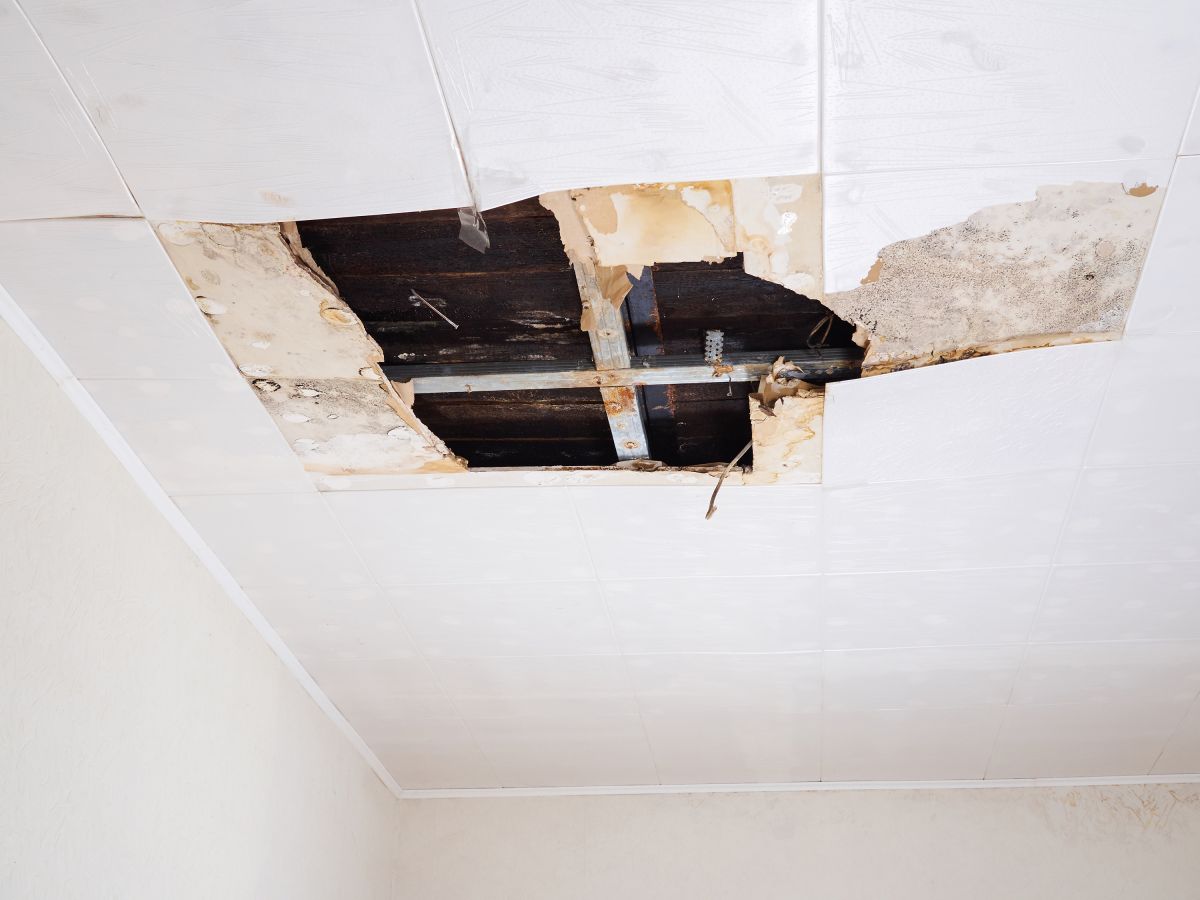 Water Damage Retoration,